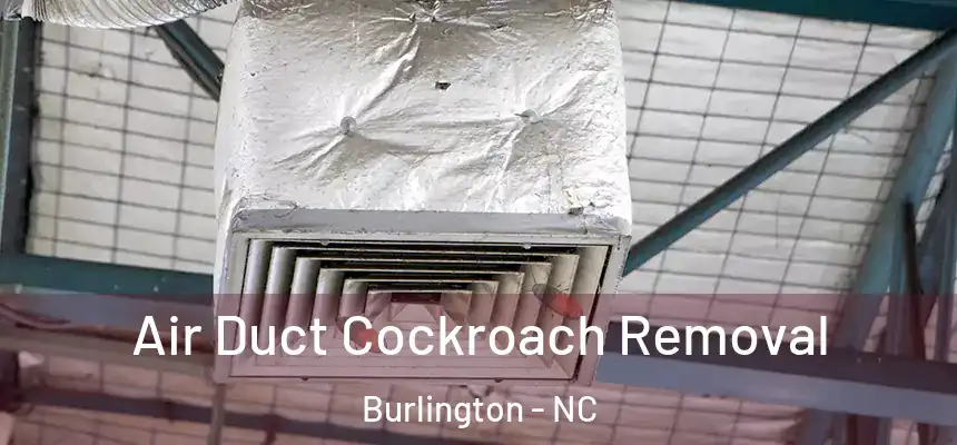 Air Duct Cockroach Removal Burlington - NC