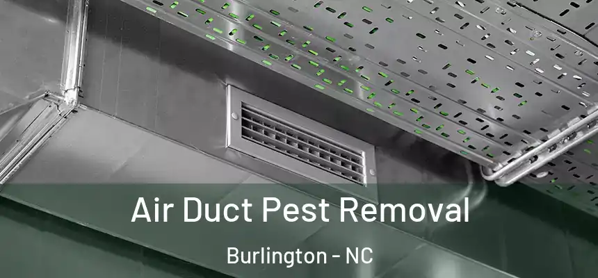  Air Duct Pest Removal Burlington - NC