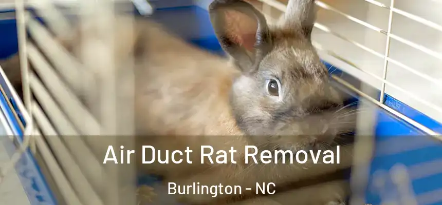 Air Duct Rat Removal Burlington - NC