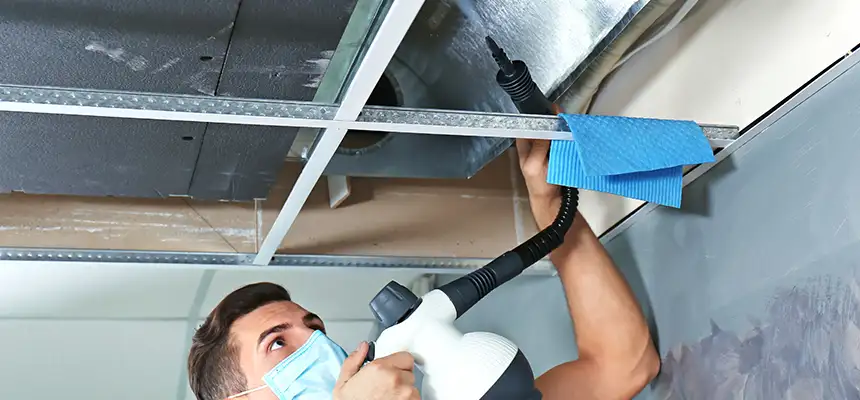 Our Air Duct Rodent Removal Services in Burlington, NC