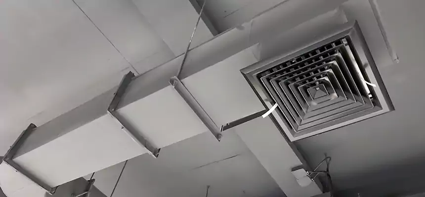 Our Pest Removal From Ducts Services in Burlington, NC