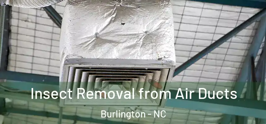 Insect Removal from Air Ducts Burlington - NC
