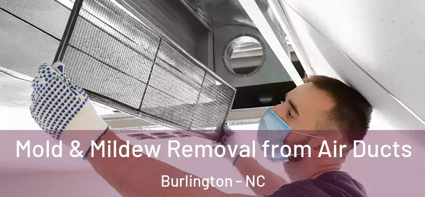  Mold & Mildew Removal from Air Ducts Burlington - NC