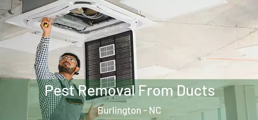 Pest Removal From Ducts Burlington - NC