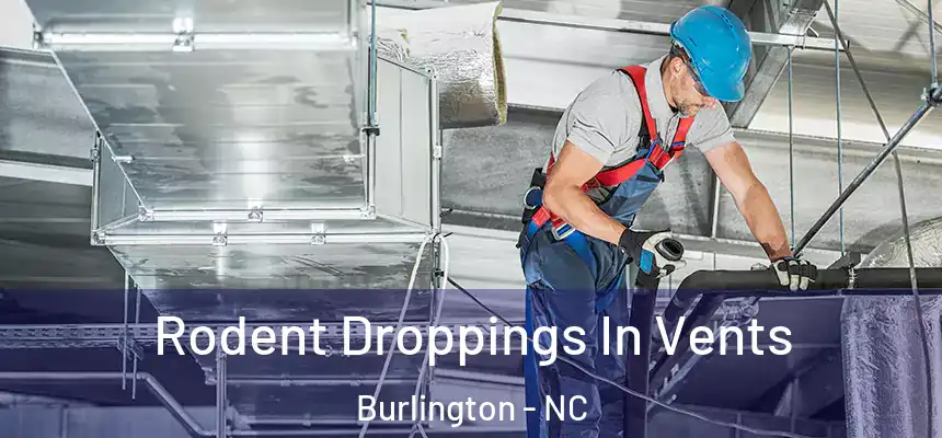  Rodent Droppings In Vents Burlington - NC