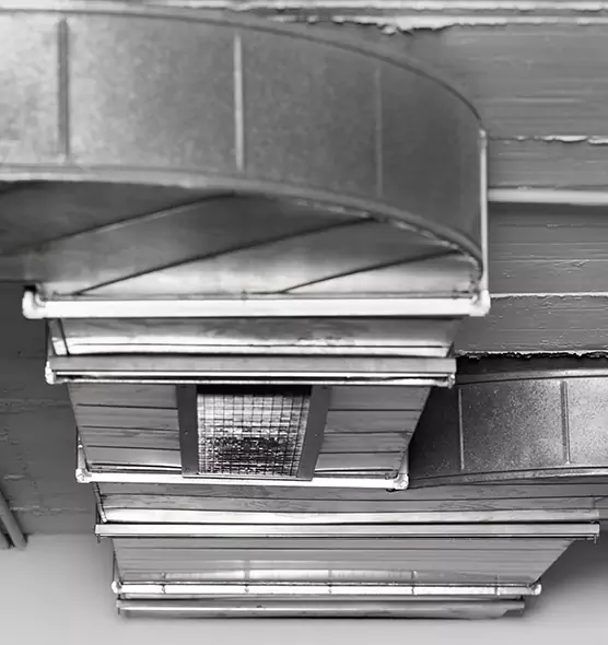 Professional Air Duct Pet Hair Removal in Burlington, NC