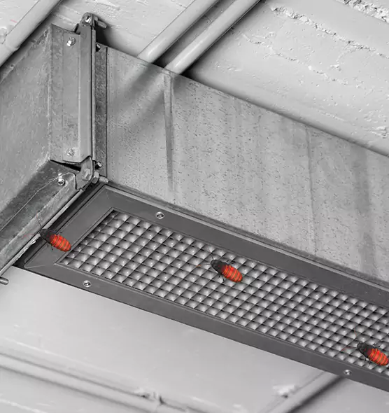 Affordable Insect Removal from Air Ducts in Burlington, NC