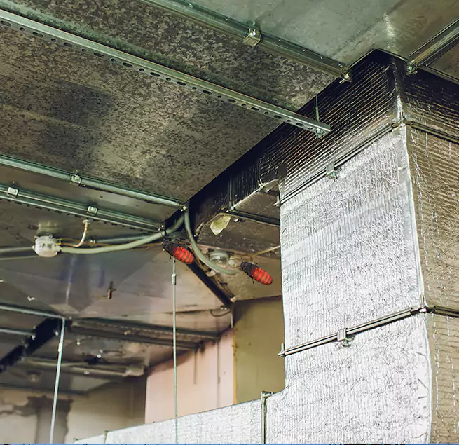 Why Homeowners & Businesses Trust Us in Burlington, NC?