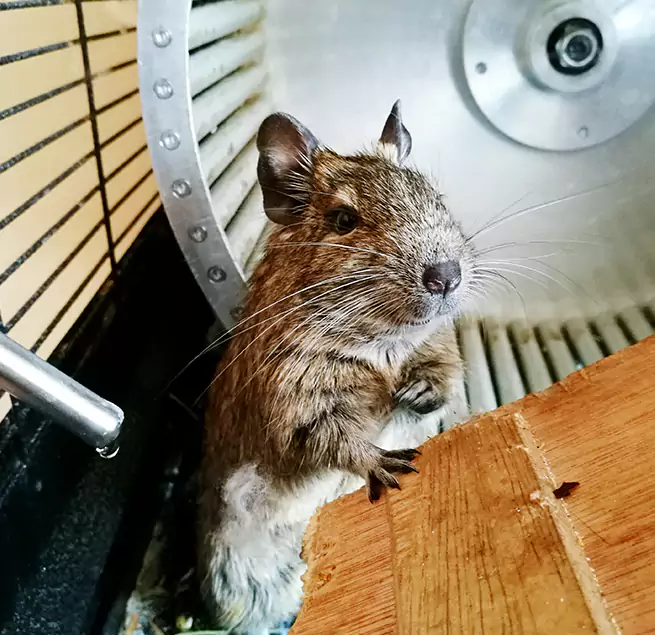 Why Homeowners & Businesses Trust Us Burlington, NC