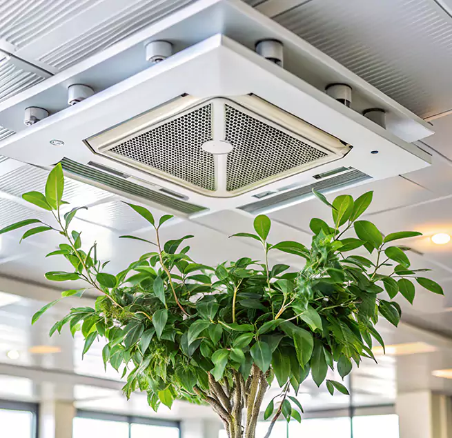 Why Homeowners & Businesses Trust Us in Burlington, NC